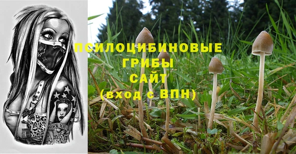 ГАЛЛЮЦИНОГЕННЫЕ ГРИБЫ Струнино