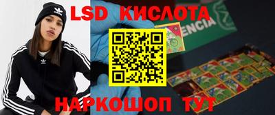молекула духа Вязьма