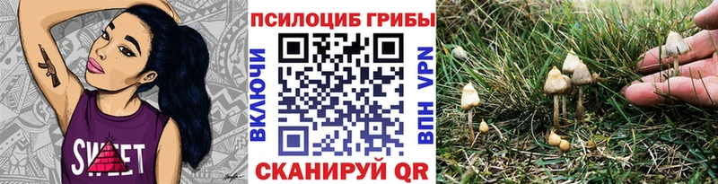Псилоцибиновые грибы прущие грибы  kraken   Асбест 