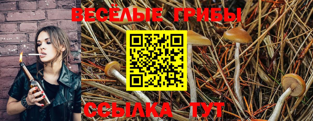 Асбест  Псилоцибиновые грибы Psilocybine cubensis  купить наркотик  Вход с VPN 